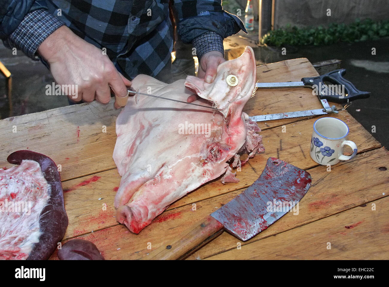 Schlachthaus Stockfoto