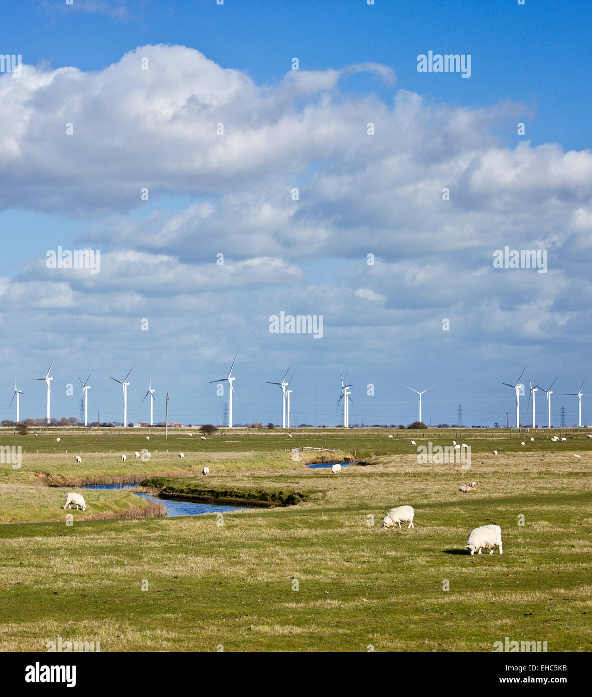 Windparks auf Romney Marsh. Stockfoto