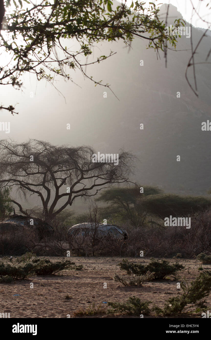 Urige Hütten unter einer großen Akazie in einem Samburu-Dorf in der Nähe von Ngurunit, Kenia Stockfoto