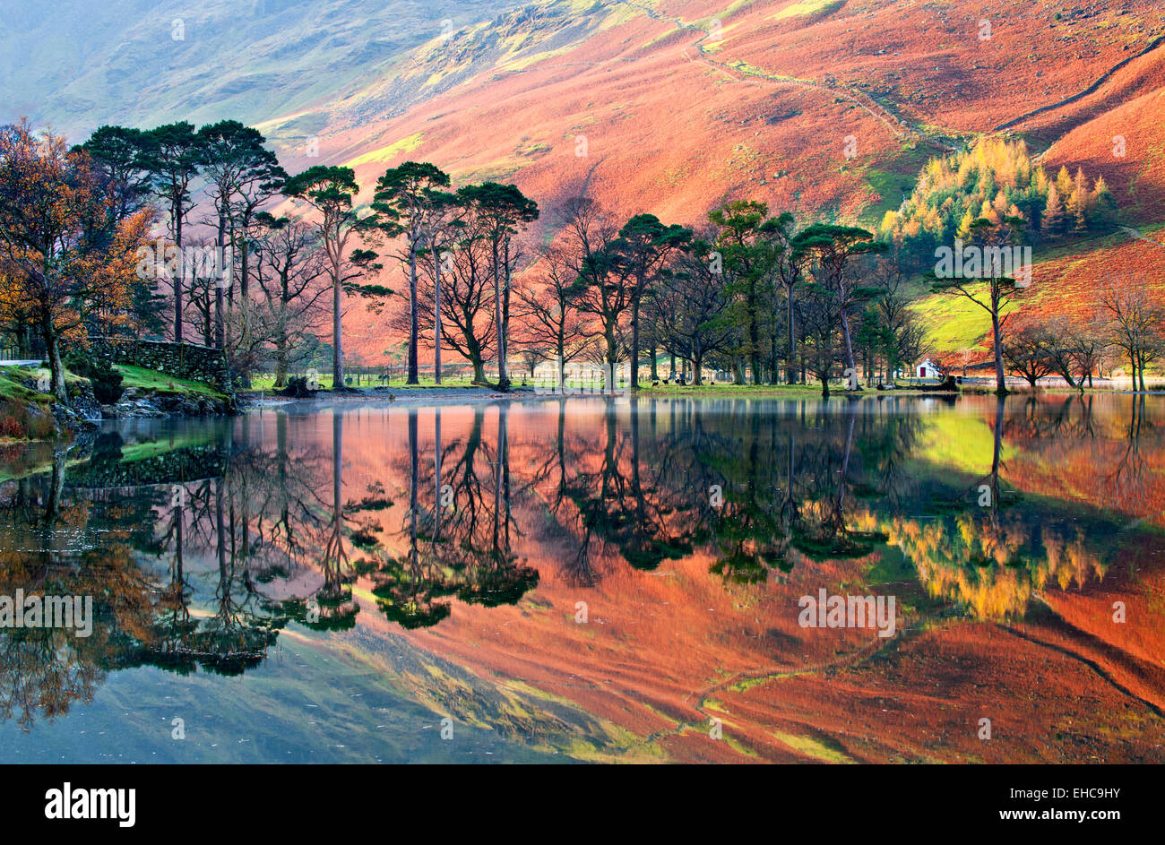 Herbst Reflexionen in Buttermere, Nationalpark Lake District, Cumbria, England, UK Stockfoto