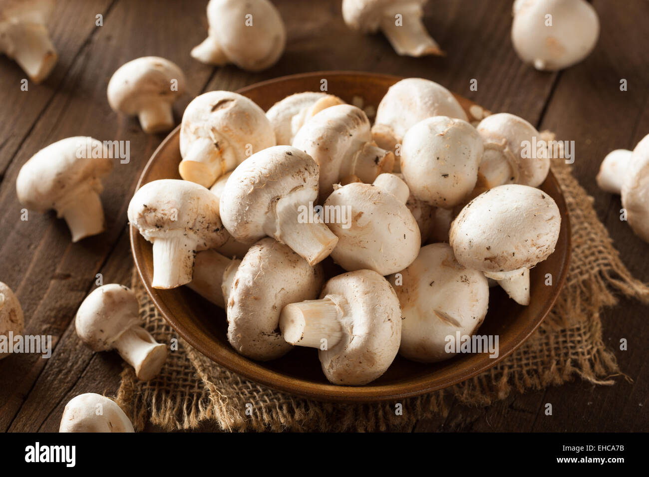 Rohe Bio Weiße Pilze fertig zu kochen mit Stockfoto