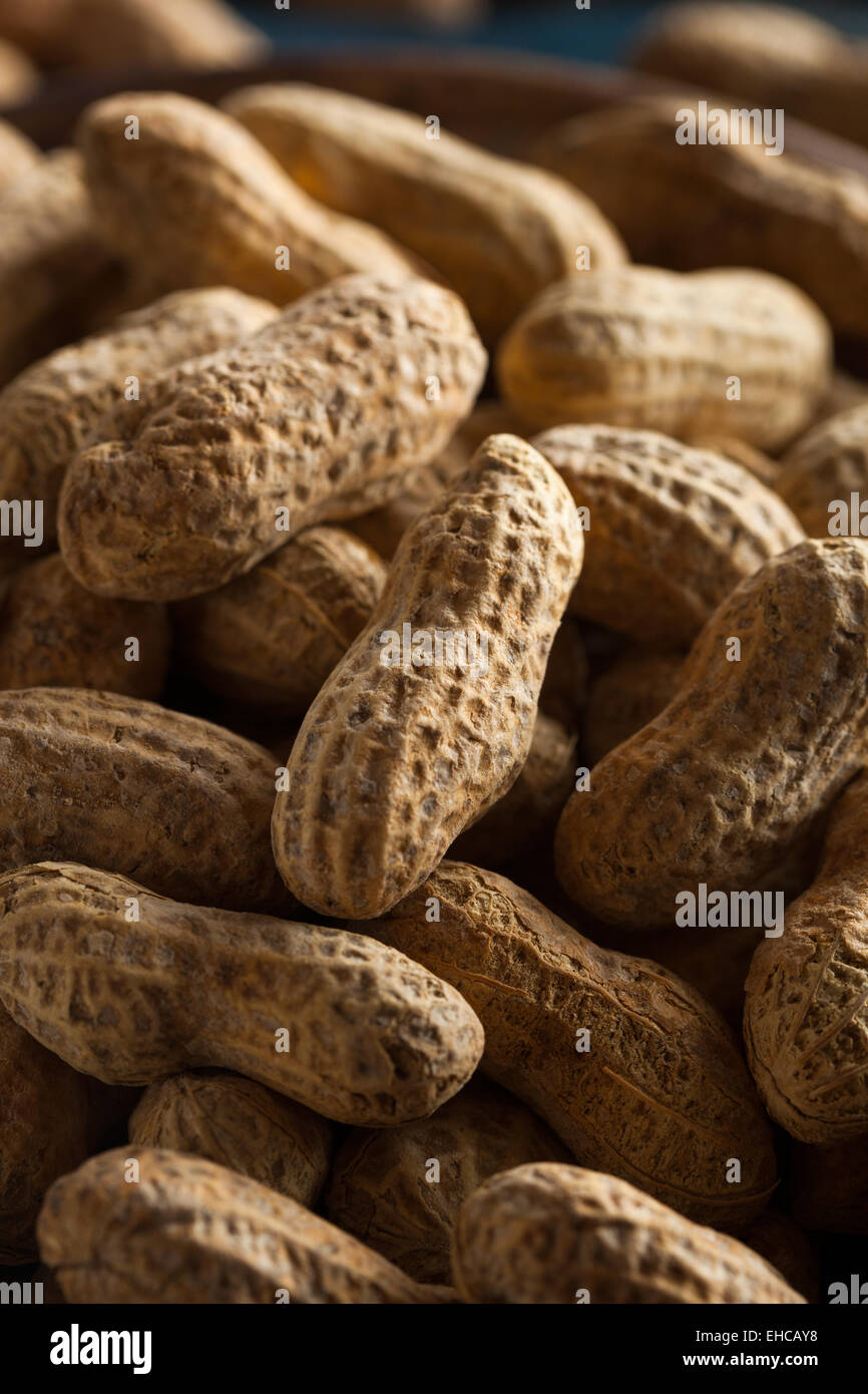 Gesalzene geröstete geschälte Erdnüsse essfertig Stockfoto