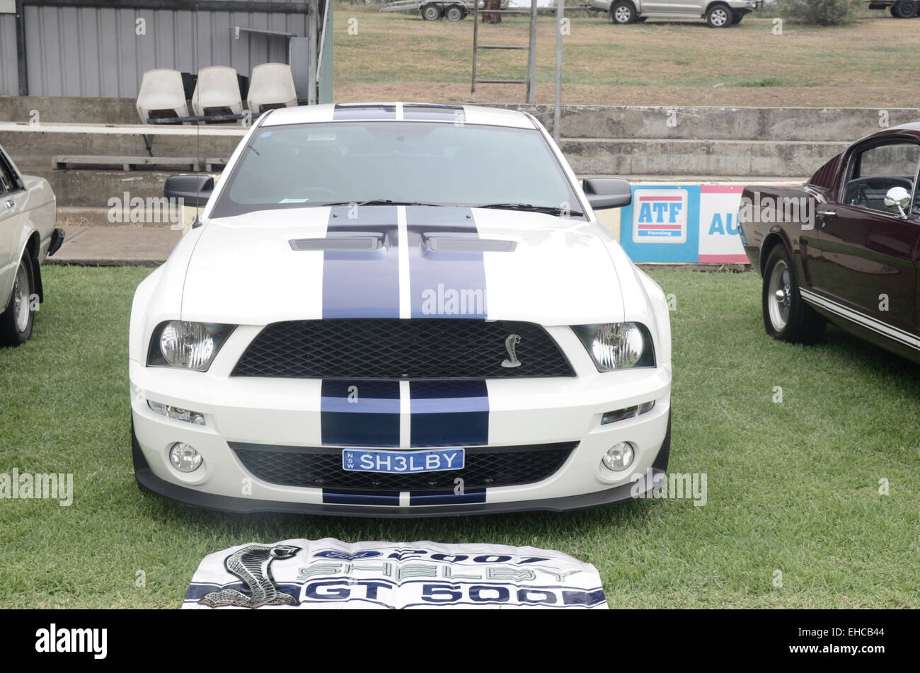 2007 Ford Mustang Shelby GT 500 auf Anzeigen Tamworth NSW Australia Stockfoto