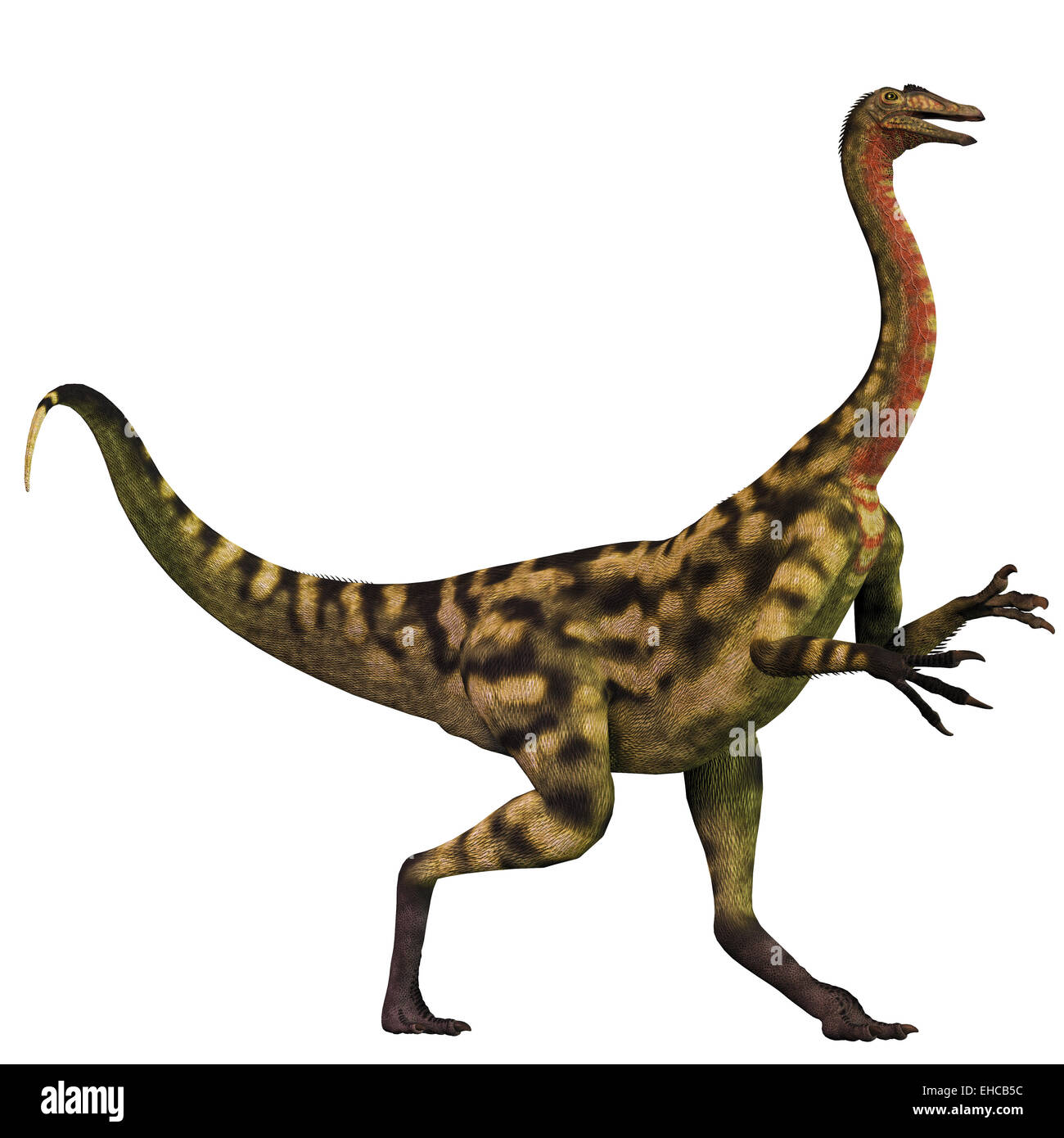 Deinocheirus war ein Strauß-Dinosaurier, die in der späten Kreidezeit Ära der Mongolei gelebt. Stockfoto