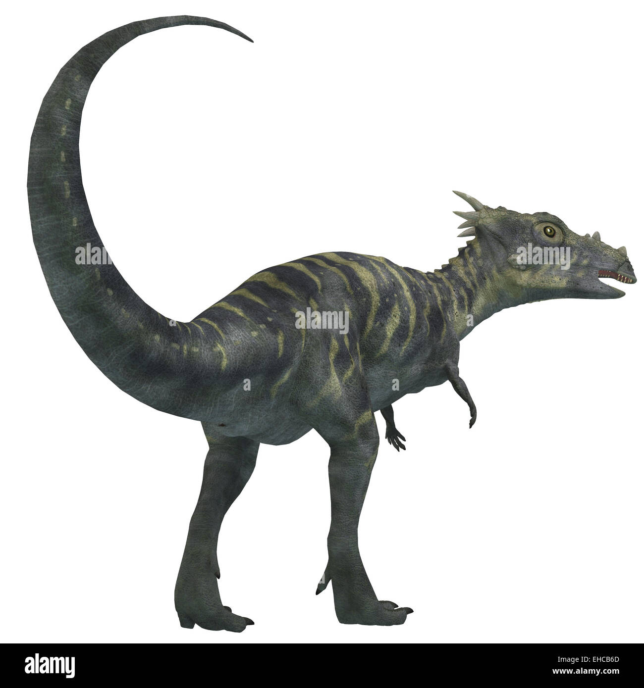 Dracorex war ein pflanzenfressender Dinosaurier, der lebte in der Kreidezeit Zeitraum of North America. Stockfoto