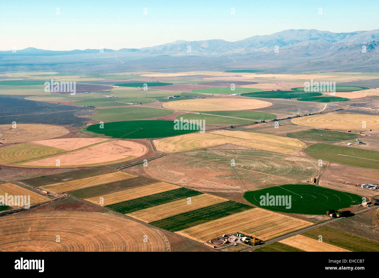 Bewässerte Gebiete (Center Pivot) im großen Lost River Valley, Idaho (Luftaufnahmen Höflichkeit Projekt Lighthawk) Stockfoto