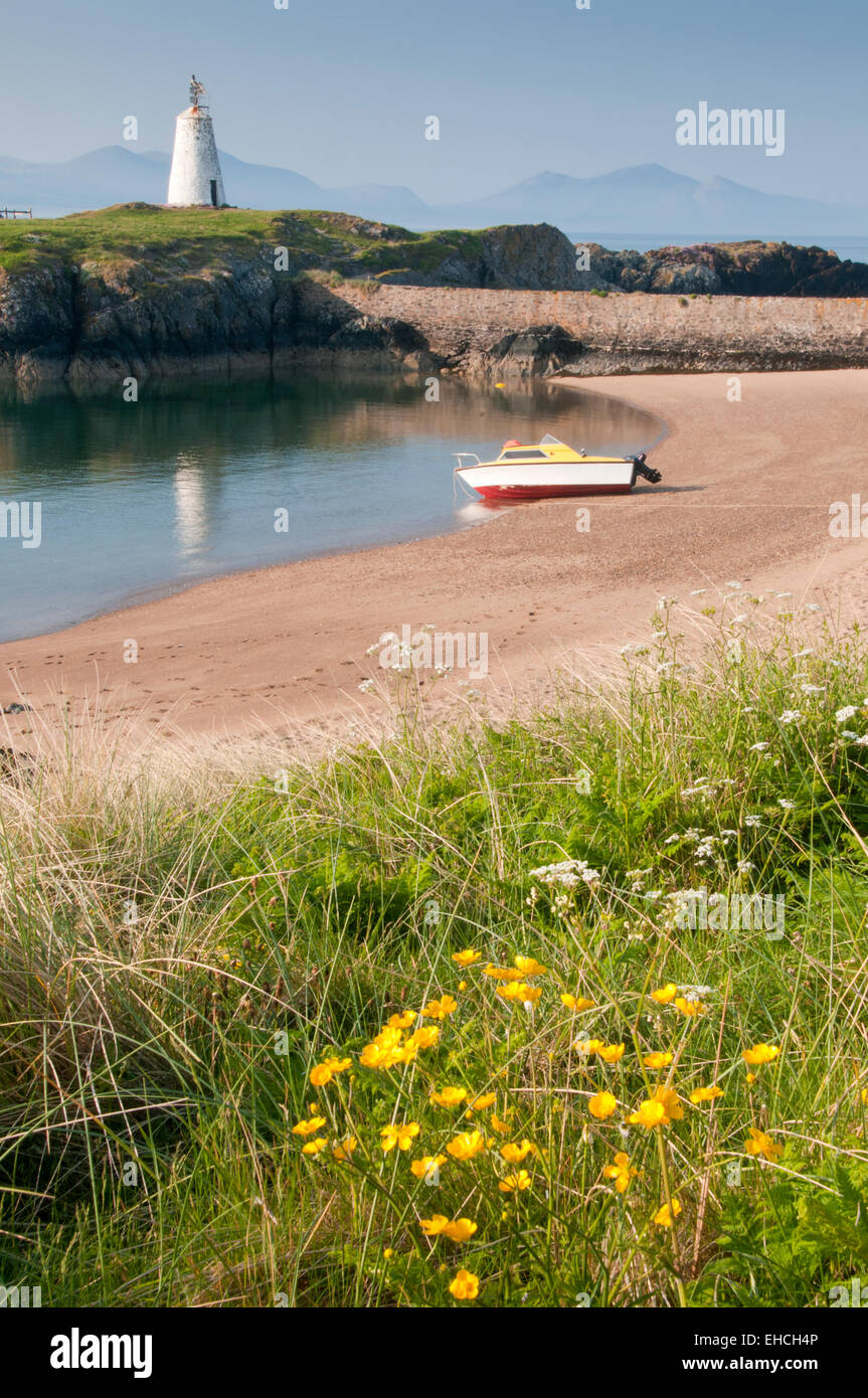 Die alten Twr Bach Leuchtturm, Llanddwyn Island, Newborough, Anglesey, North Wales, UK Stockfoto