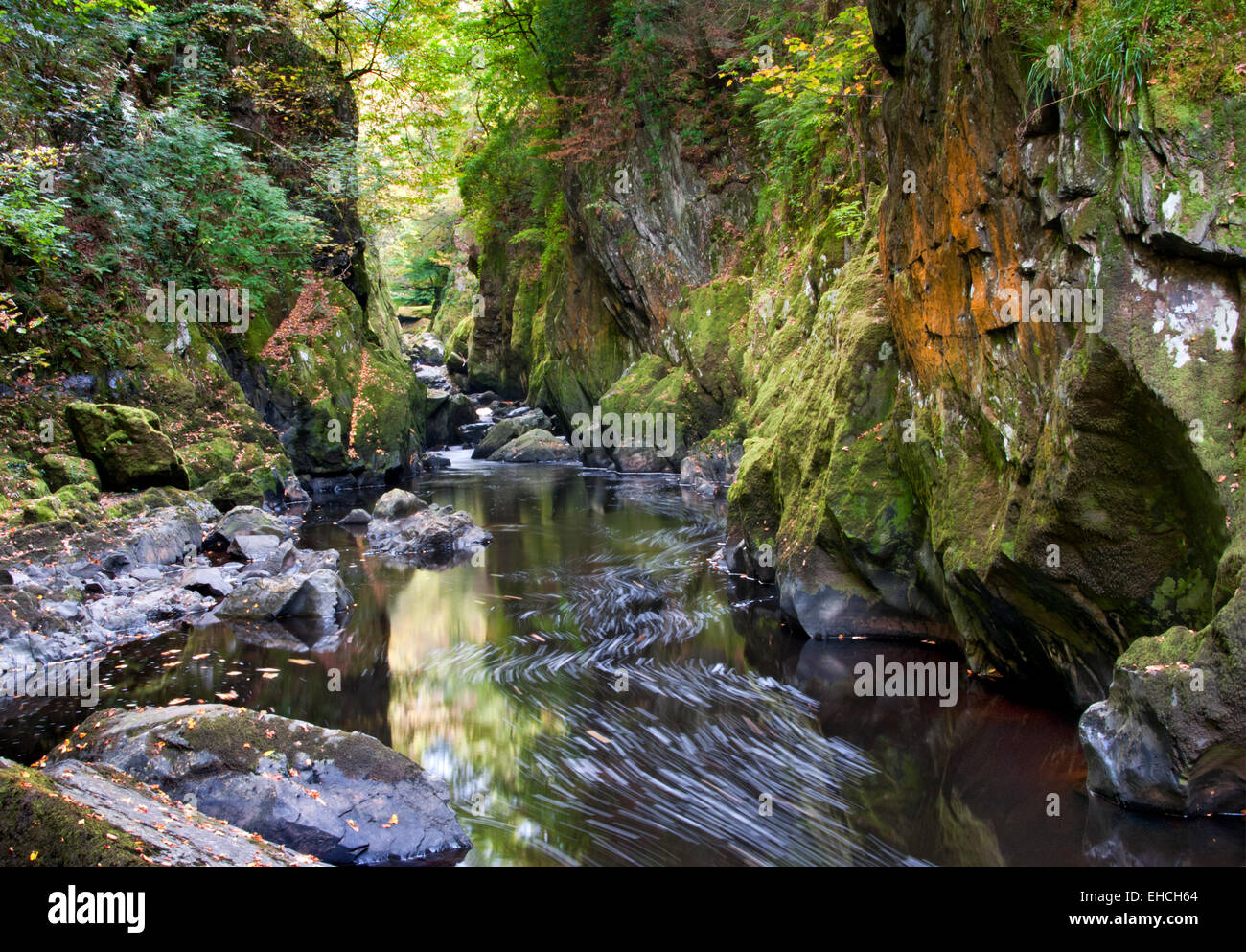 Die Fairy Glen auf Afon Conwy, in der Nähe von Betws Y Coed, Snowdonia, North Wales, UK Stockfoto