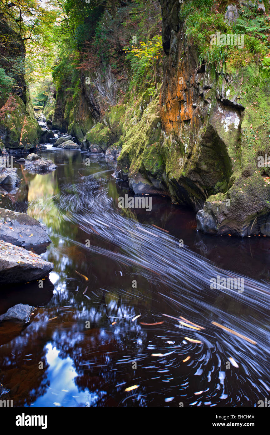 Die Fairy Glen auf Afon Conwy, in der Nähe von Betws Y Coed, Snowdonia, North Wales, UK Stockfoto