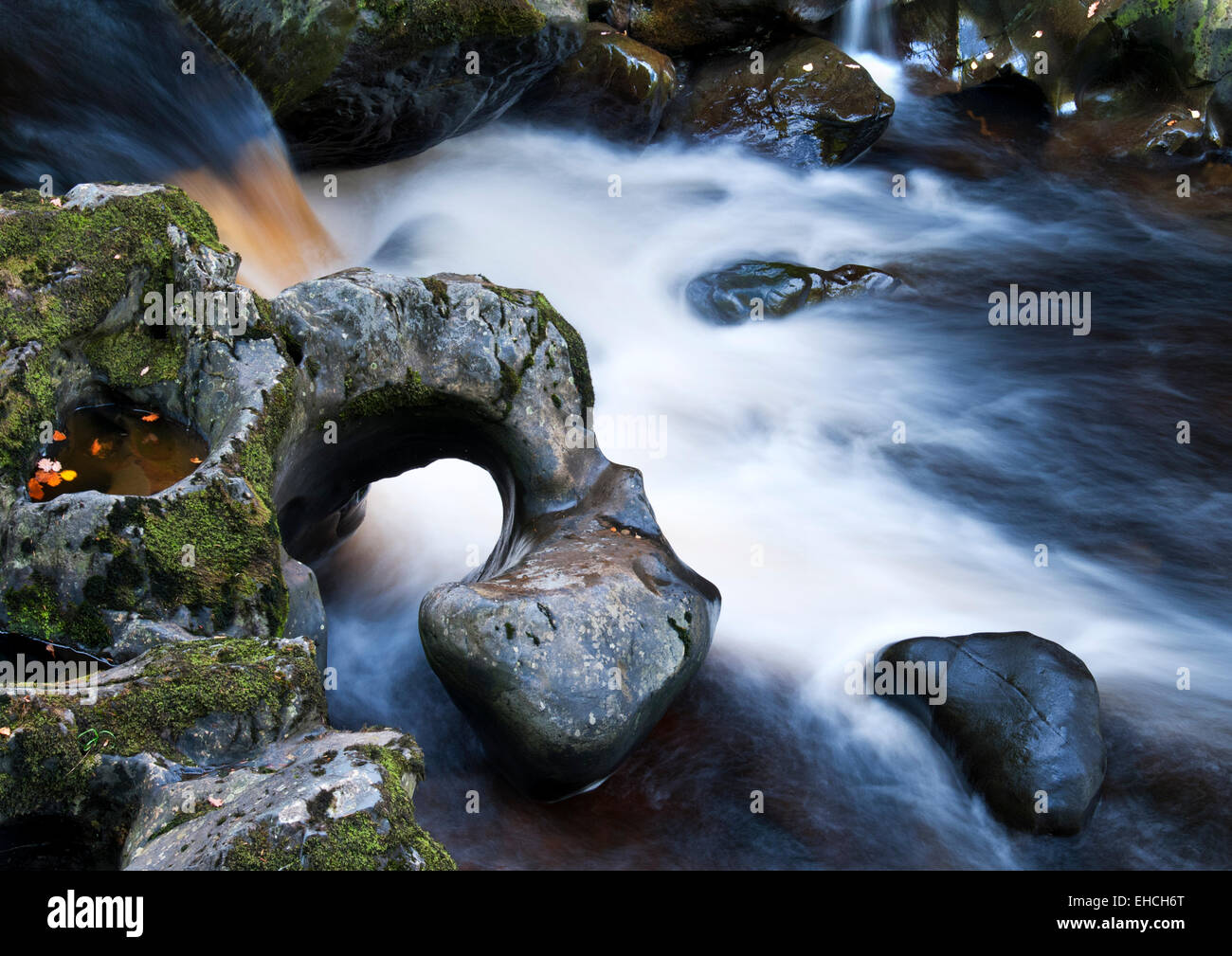Rock Muster in der Afon Conwy, die Fairy Glen, in der Nähe von Betws y Coed, Snowdonia, North Wales, UK Stockfoto
