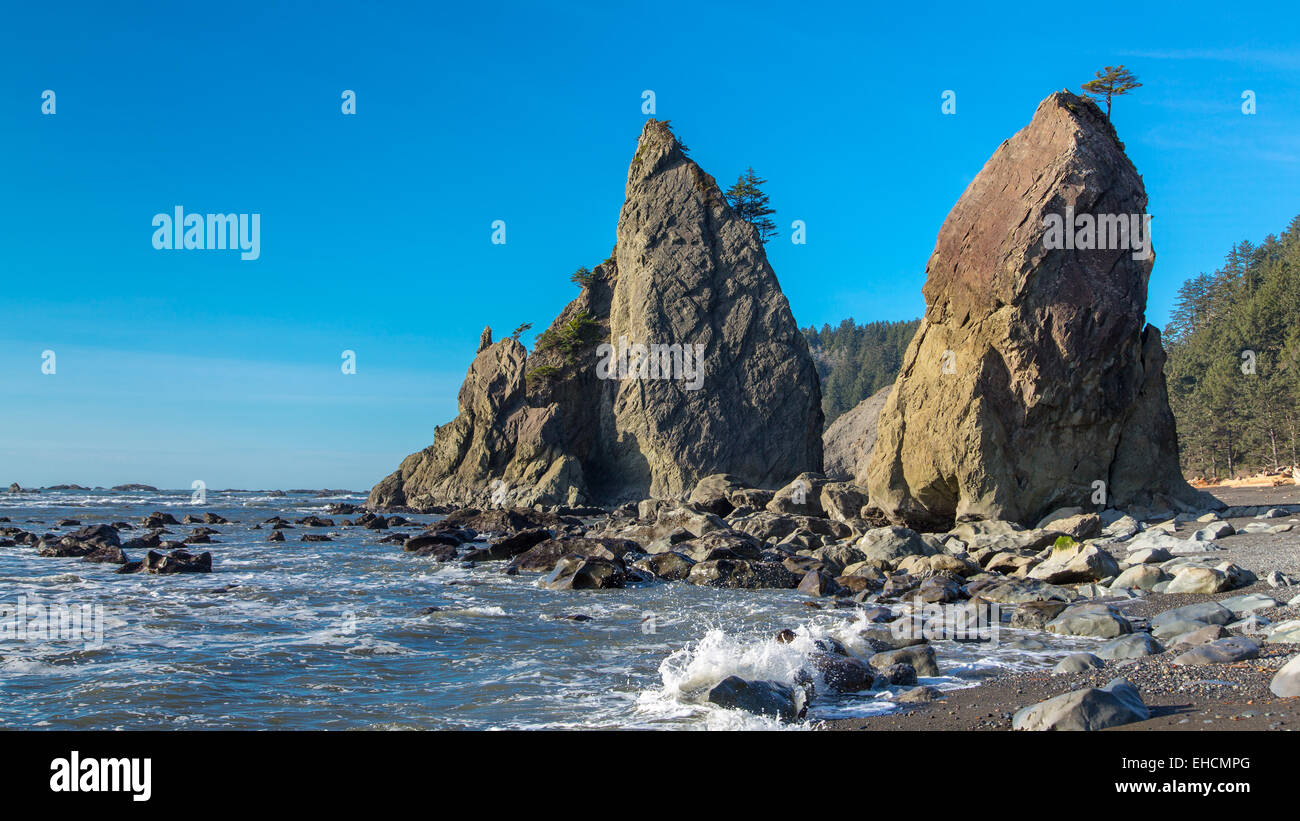 Meer-Stacks auf Washingtons Rialto Beach Stockfoto