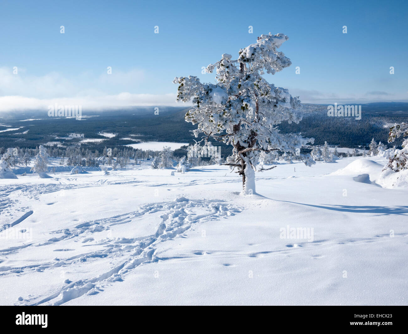 Eine Landschaftsansicht Schnee bedeckt Bäume in Lappland im Winter in Levi. Ein Winterwildnis. Stockfoto