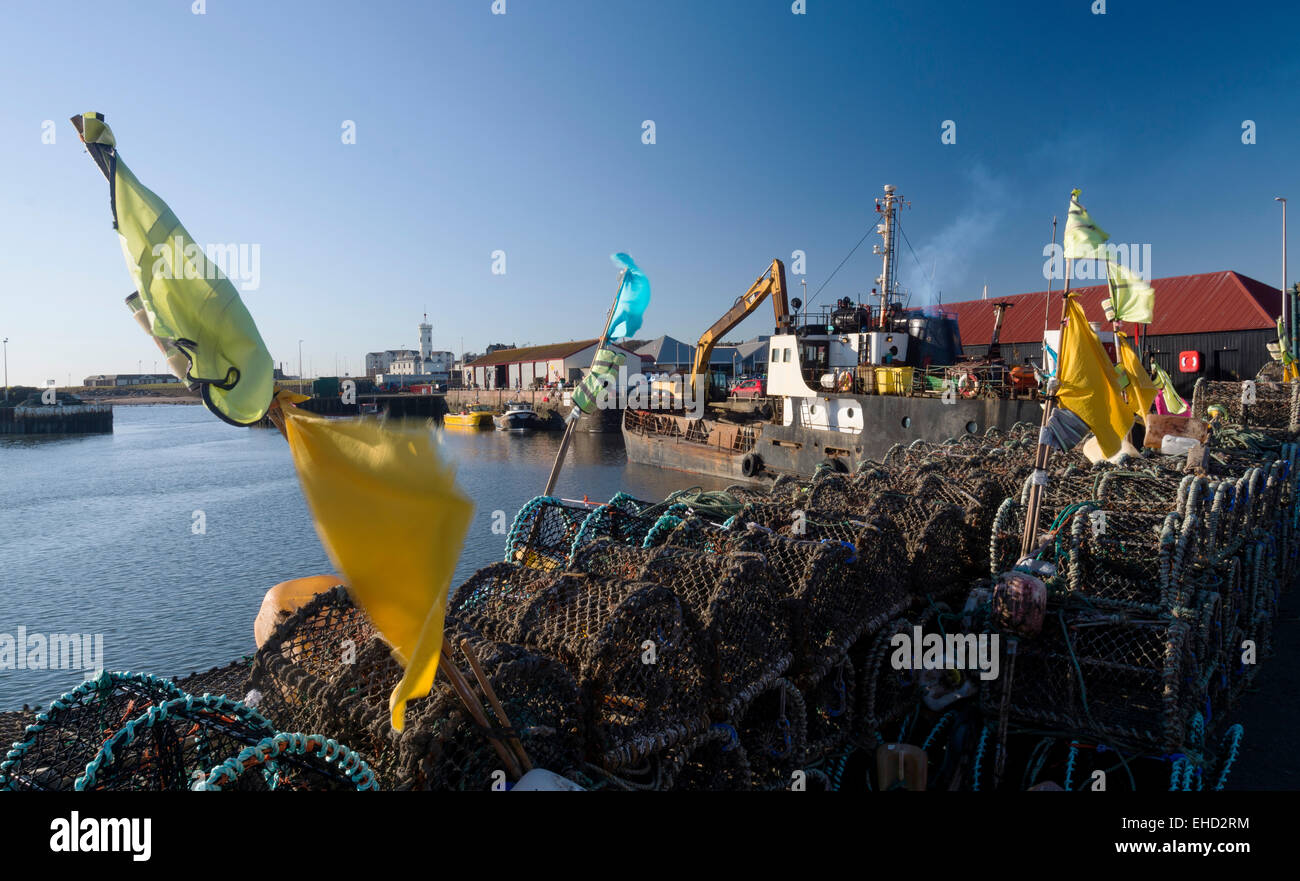 Berufsfischerei Arbroath Hafen port Angus-Schottland Stockfoto