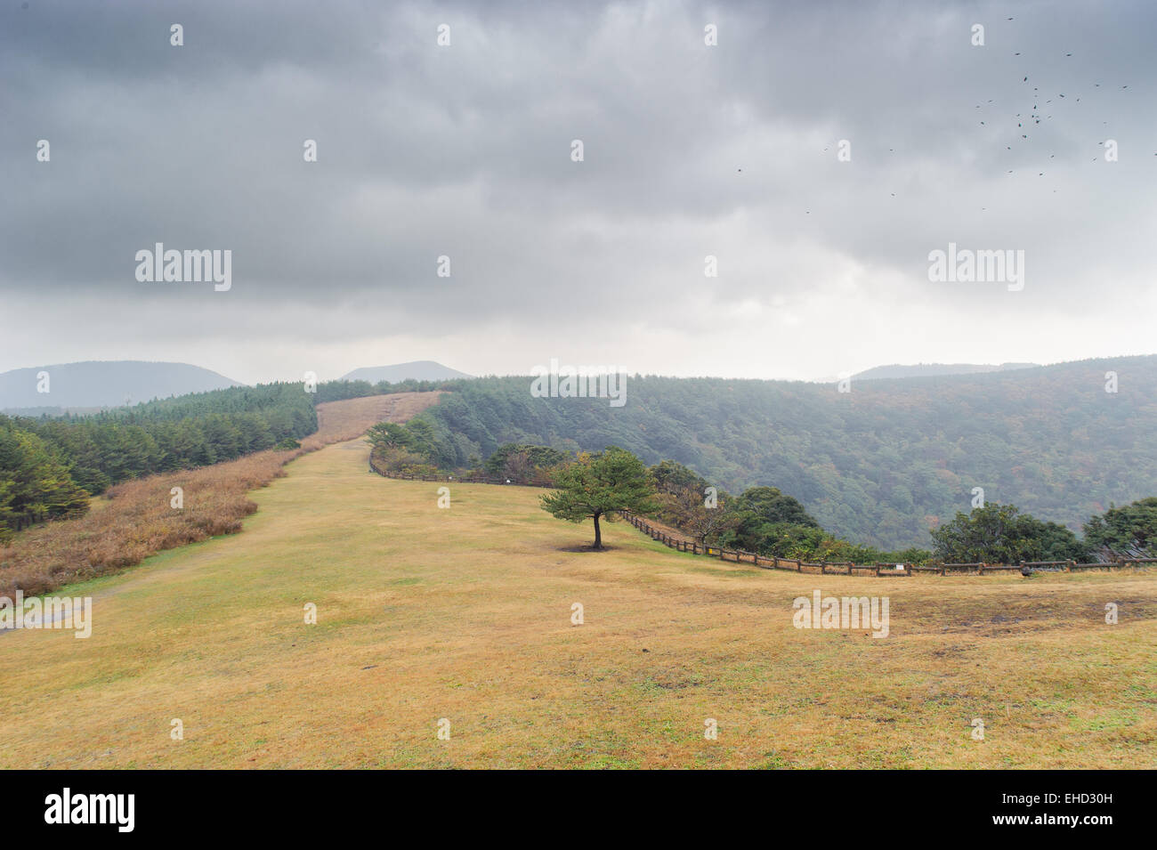Blick von der Spitze der Sangumburi-Krater in Jeju Insel Stockfoto