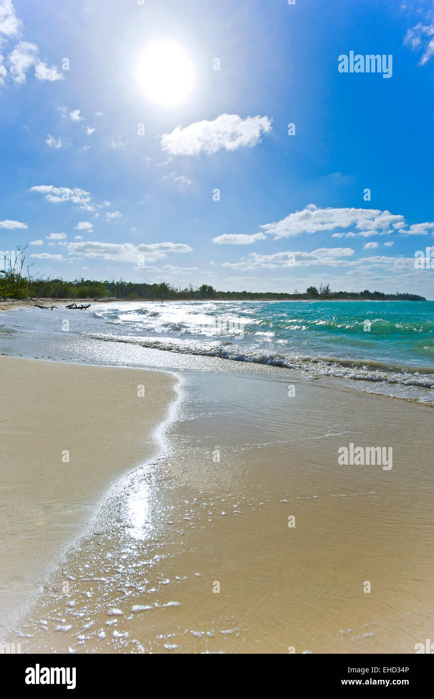 Vertikale Ansicht von einem kubanischen Strand. Stockfoto