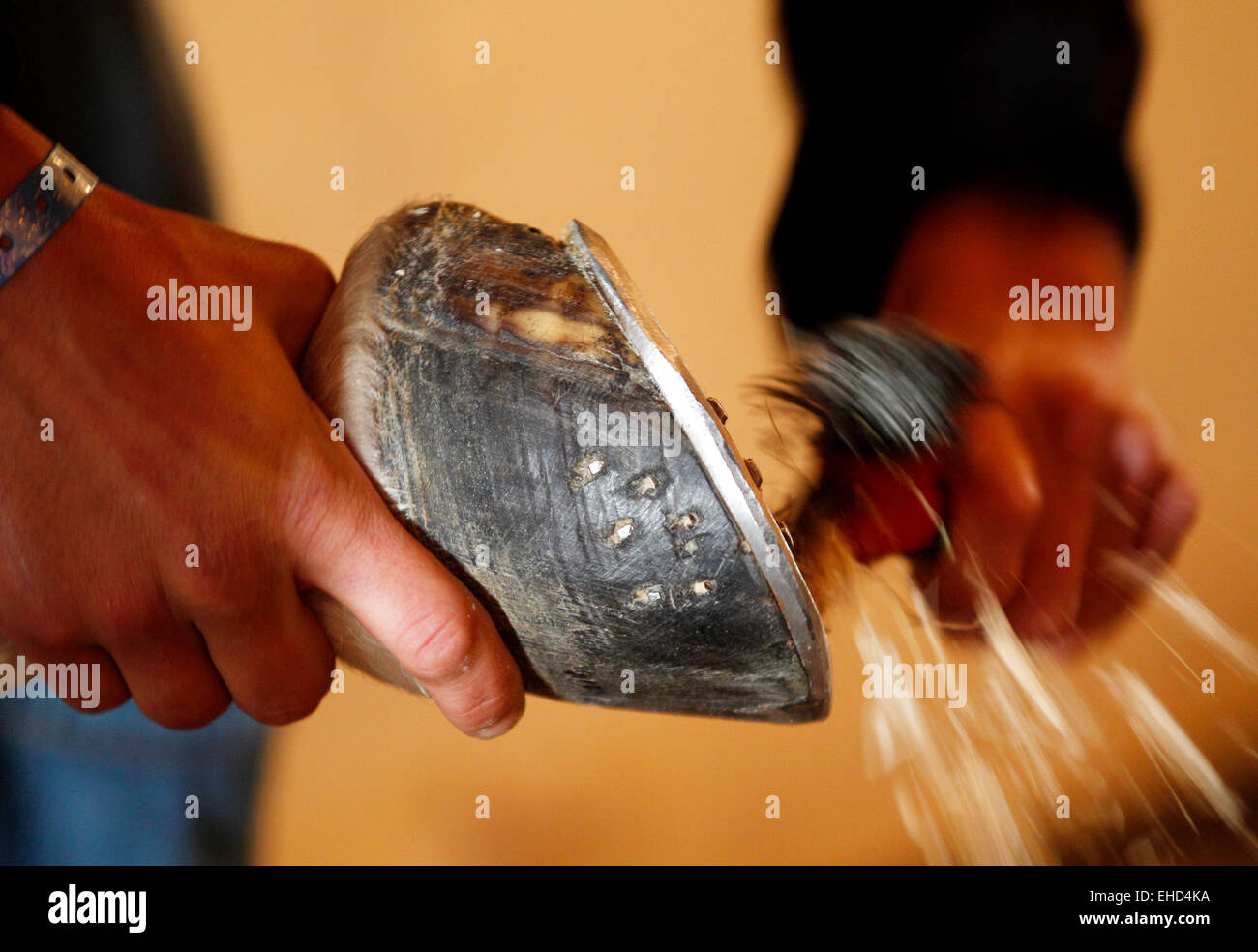 Essen, Deutschland. 12. März 2015. Ein Pferd bekommt seinen Hufeisen in Essen, Deutschland, 12. März 2015 festgelegt. Etwa 850 Aussteller präsentieren ihre Neuheiten auf der Weltmesse des Pferdesports vom 14. bis 22. März 2015. Rund 1000 können Pferde bewundert werden. Foto: ROLAND WEIHRAUCH/Dpa/Alamy Live News Stockfoto