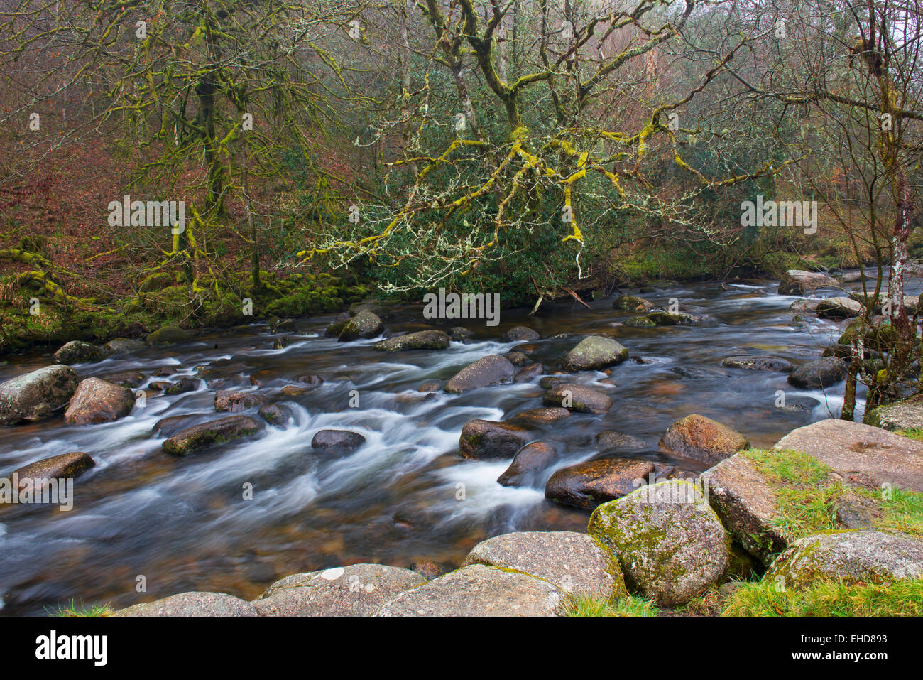 Fluss Dart, Dartsmeet, Dartmoor, Devon, England UK Stockfoto