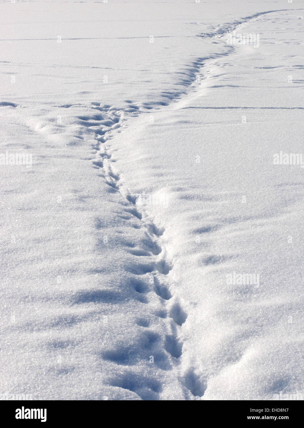 Fußweg im Schnee auf zugefrorenen Seeoberfläche Stockfoto