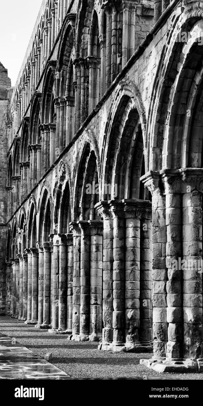 Jedburgh Abbey. Jedburgh. Scottish Borders, Schottland Stockfoto