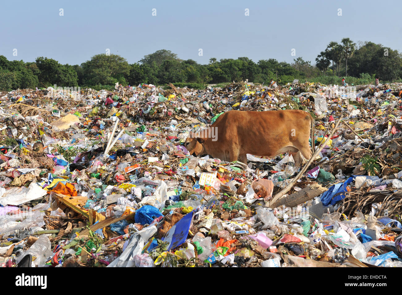 Pondicherry Müllkippe, Tamil Nadu, Indien. Stockfoto