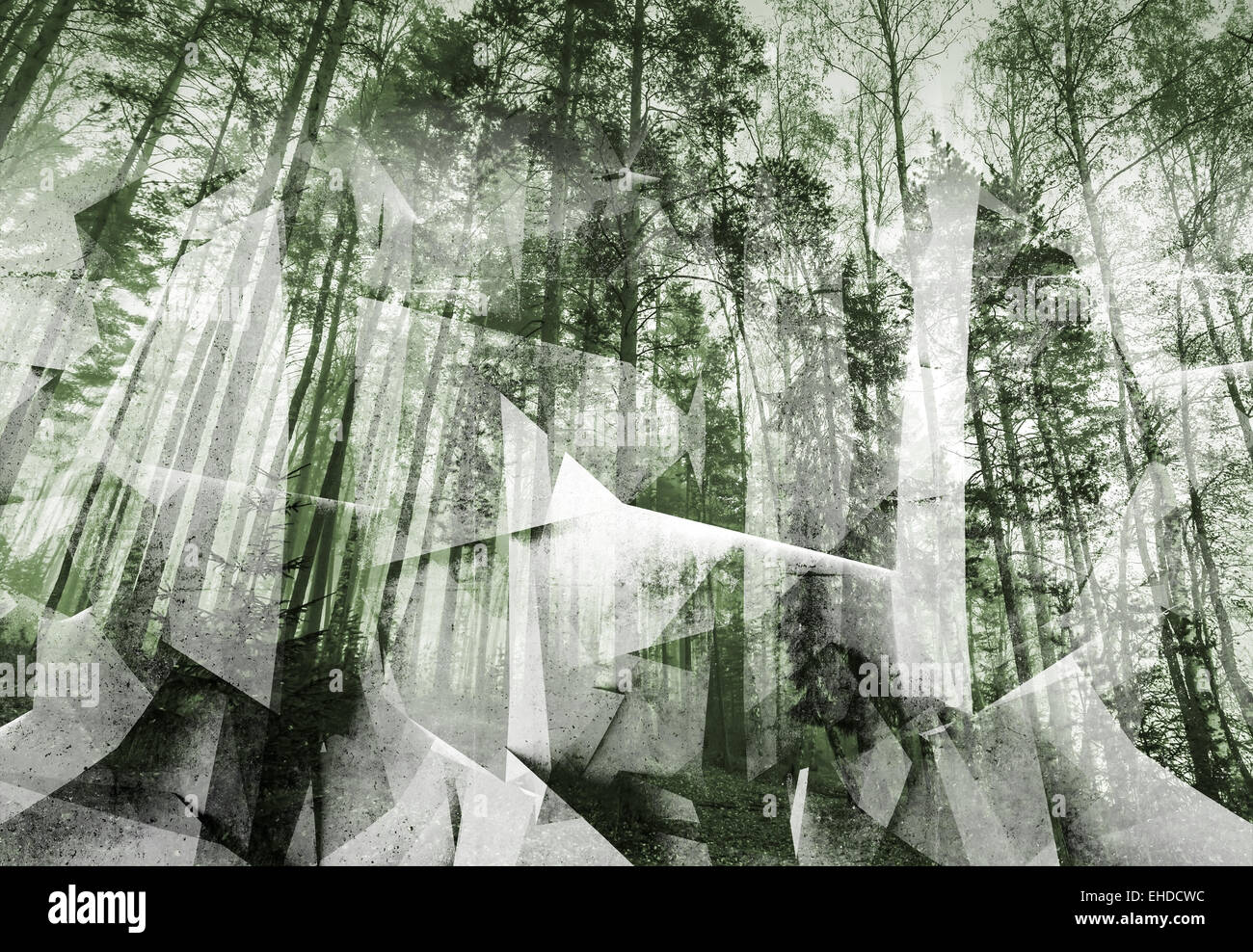Abstrakt surreal Wald Hintergrund. Grün getönten Fotocollage mit chaotischen 3D-Struktur Stockfoto