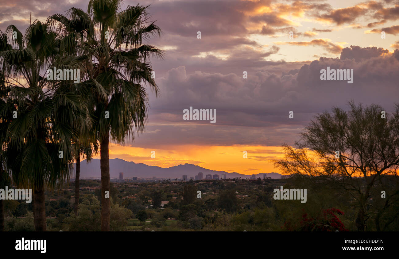 Wüste Landschaft, Arizona, USA Stockfoto