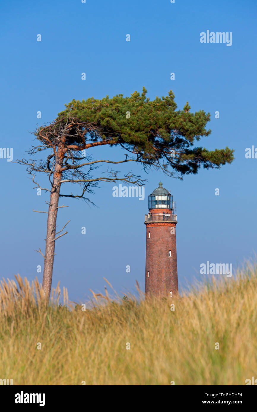 Leuchtturm Darßer Ort / Darßer Ort, Western Region Nationalpark Vorpommersche, Mecklenburg-Western Pomerania, Deutschland Stockfoto