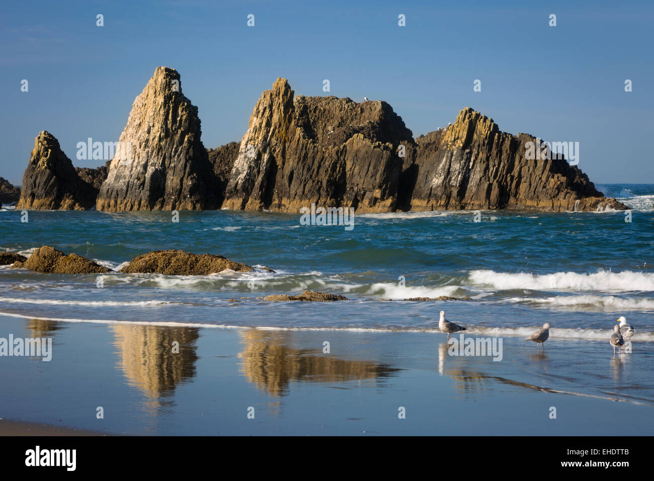 Felsen entlang der Küste bei Seal Rock Beach, Oregon, USA Stockfoto