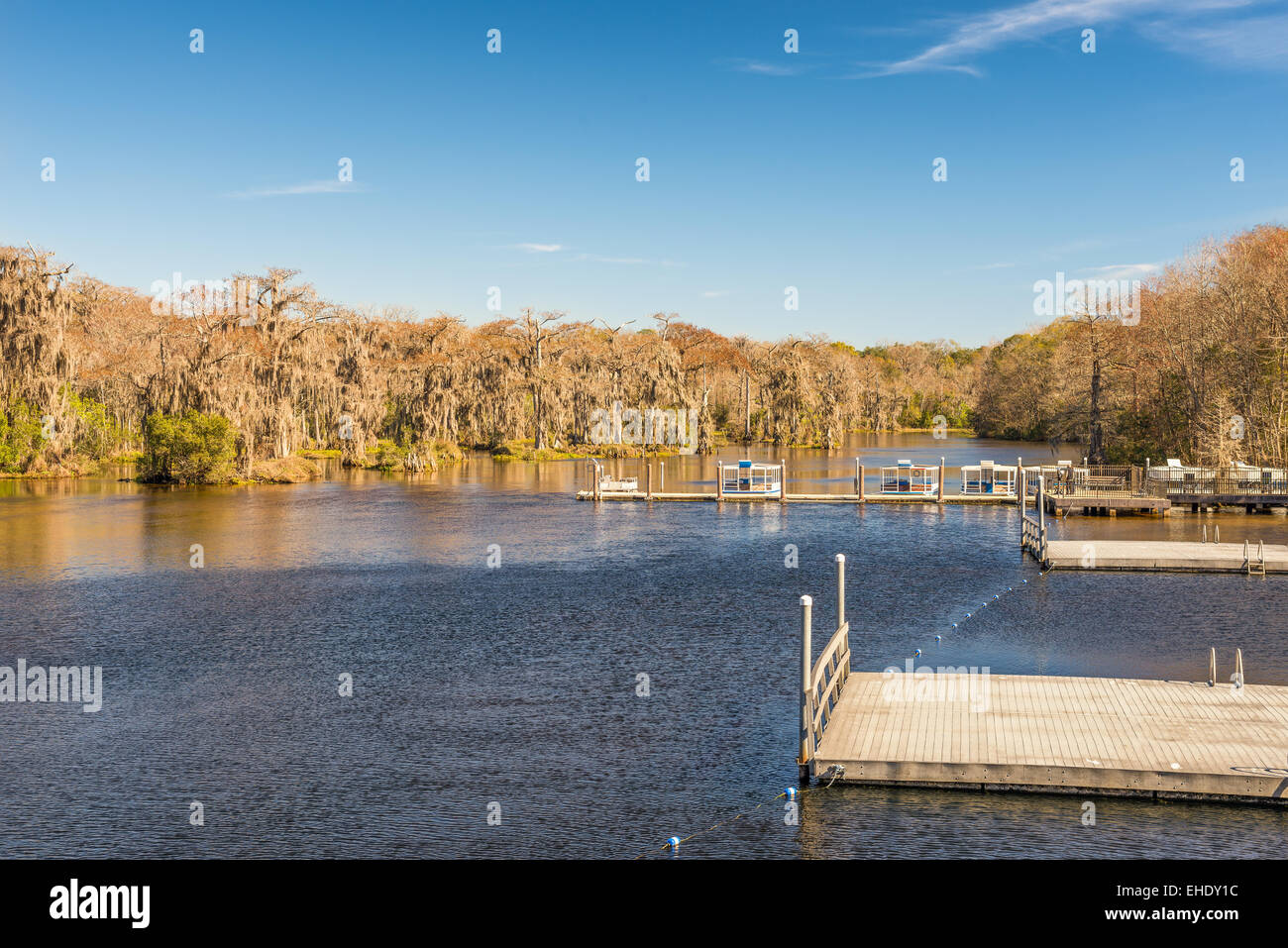 Edward Ball Wakulla Springs State Park.  Das Florida State Park befindet sich südlich von Tallahassee, Florida. Stockfoto
