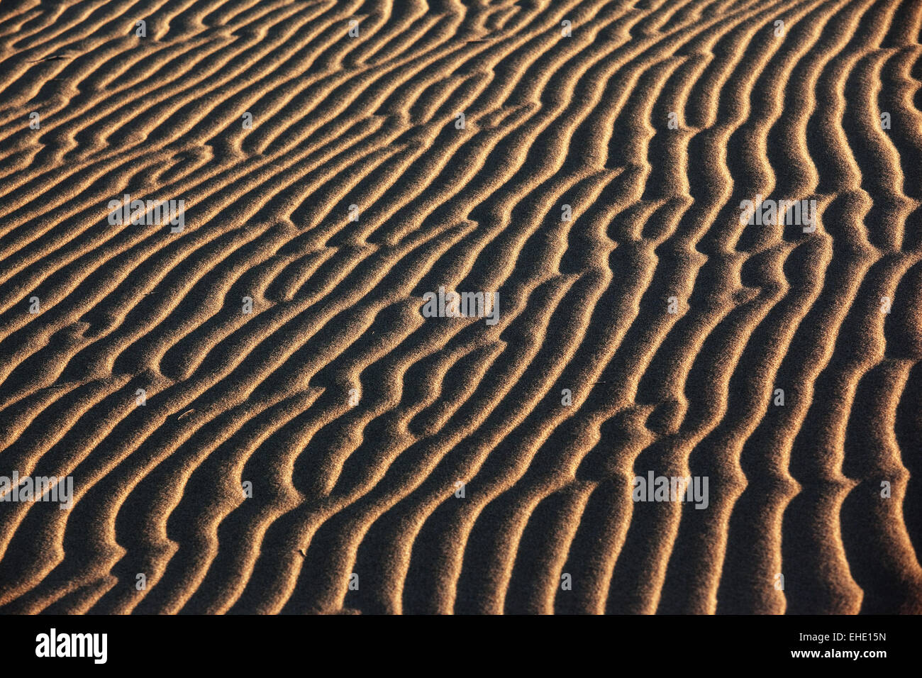 Sand Wellen in Wüste Stockfoto