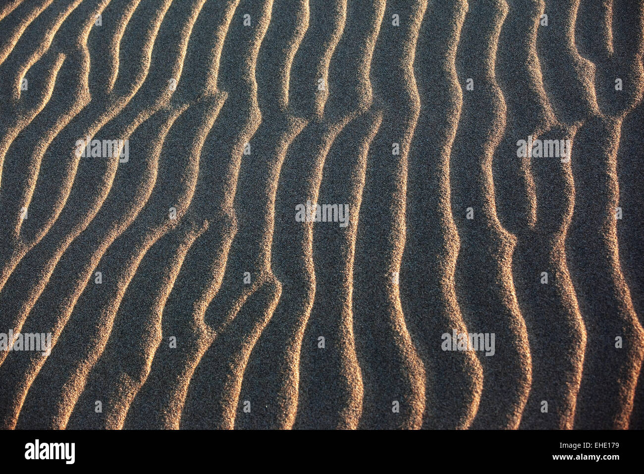 Sand Wellen in Wüste Stockfoto