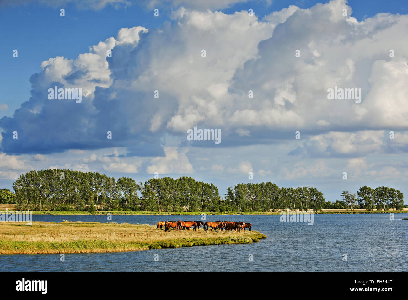 Insel Poel, Mecklenburg-Vorpommern, Deutschland Stockfoto