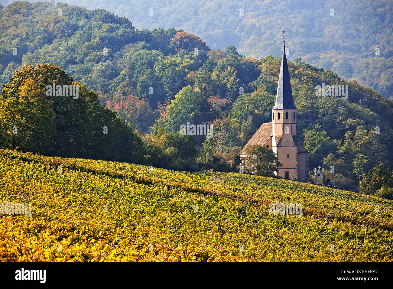 Kapelle Saint-André, Andlau, Elsaß, Frankreich Stockfoto