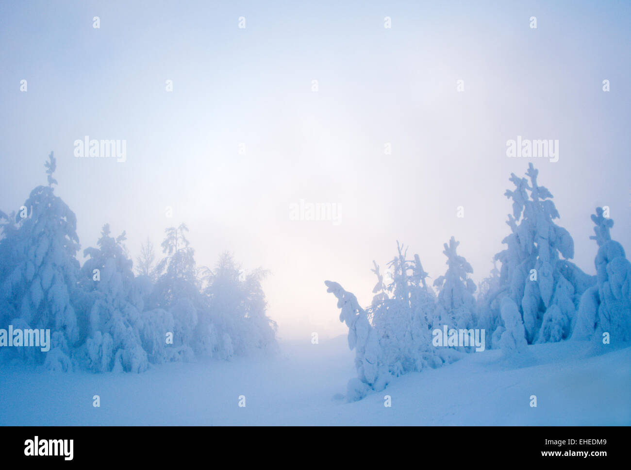 Twilight-Schnee Stockfoto