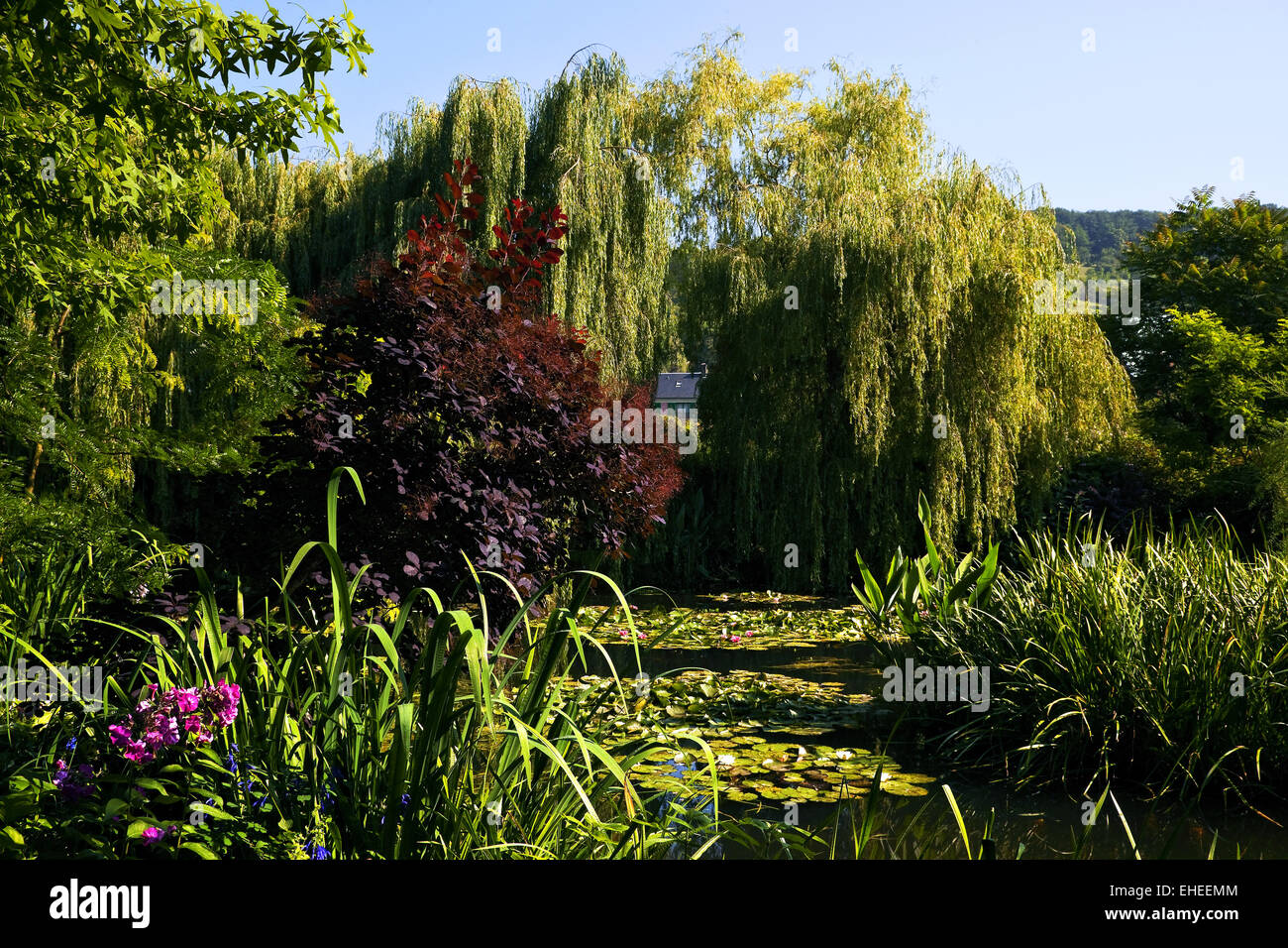 Haus und Garten von Claude Monet, Frankreich Stockfoto