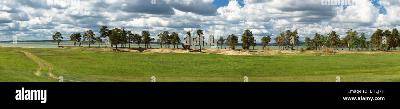 Pinien in einer Reihe auf dem Fluss Stockfoto