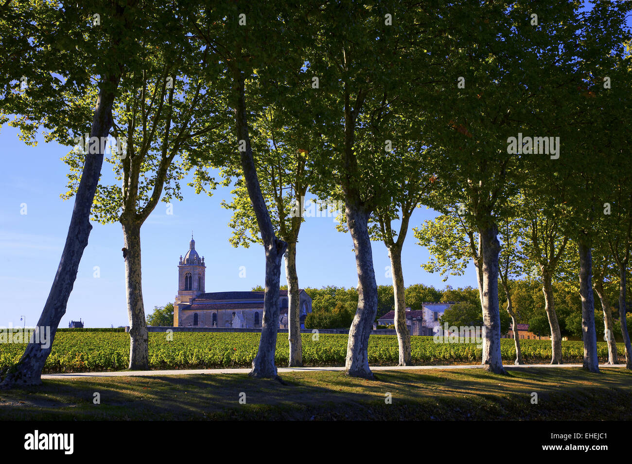 Margaux Kirche in Weingarten, Bordeaux, Frankreich Stockfoto