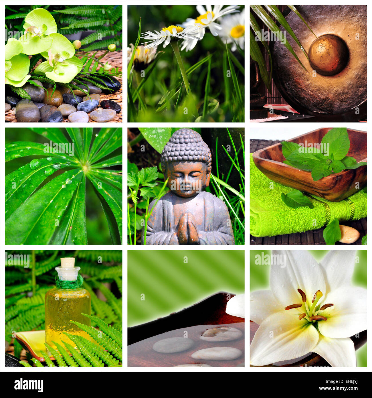 Wellness-Collage Stockfoto