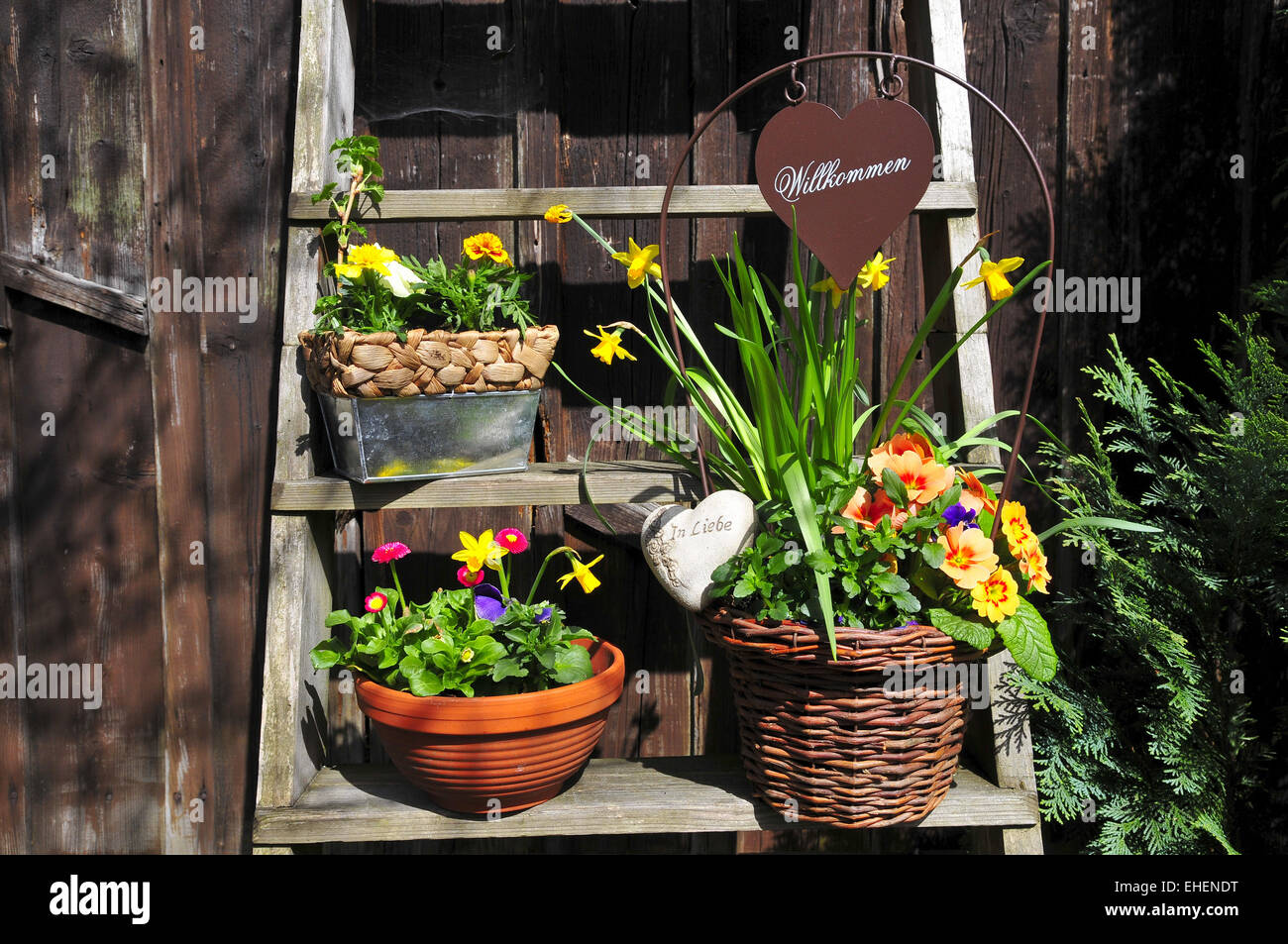 Frühling-Blumentöpfe Hütte Gartenwerkzeuge Stockfoto