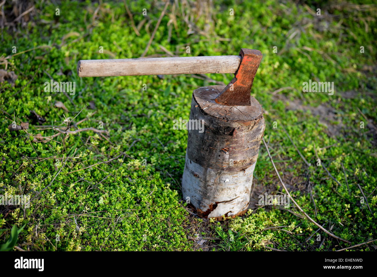 Axt stecken in einem Protokoll von Holz in natürlichem Licht Stockfoto