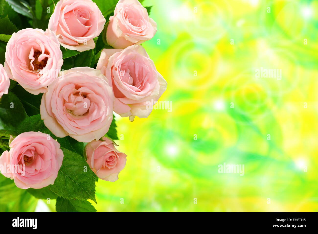 Bouquet von Miniatur-Rosen. Stockfoto