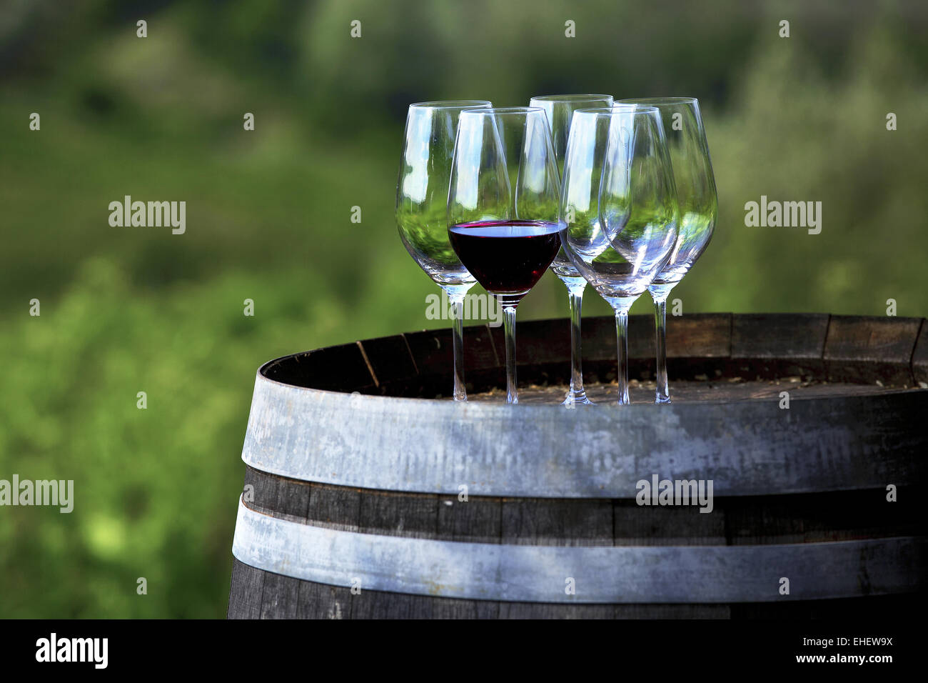 Weinproben, Chianti, Toskana, Italien Stockfoto