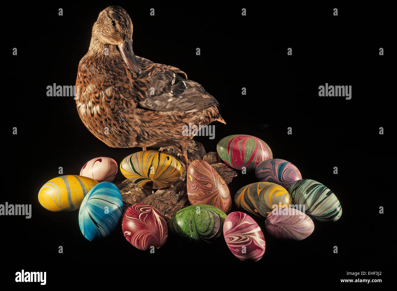 Stofftier ausschneiden -Fotos und -Bildmaterial in hoher Auflösung – Alamy