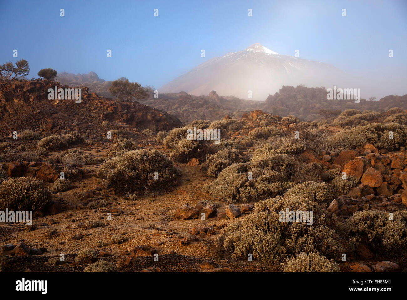 Morgennebel am Pico del Teide, Teide Nationalpark, Insel Teneriffa, Kanarische Inseln, Spanien, Europa | Morgennebel am Pico d Stockfoto