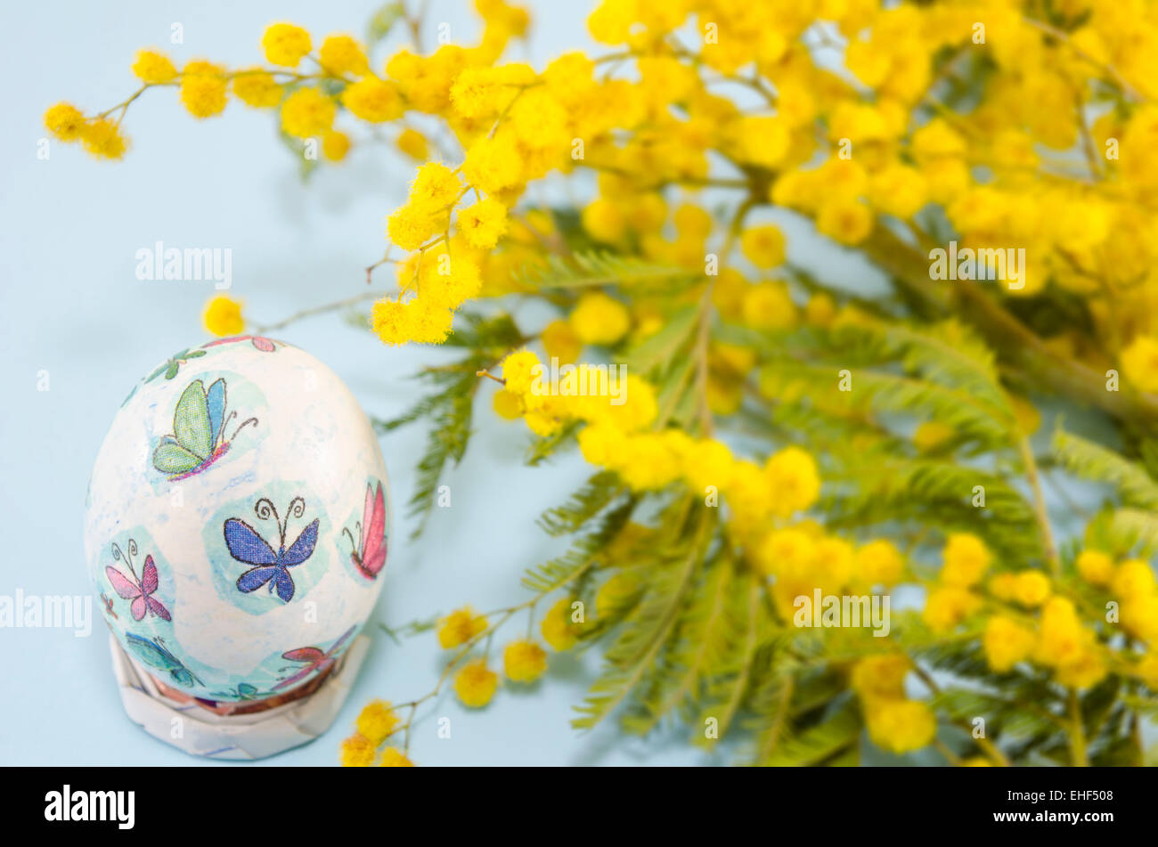 Handgemalte Decoupage Osterei und Mimosen Blüten Stockfoto