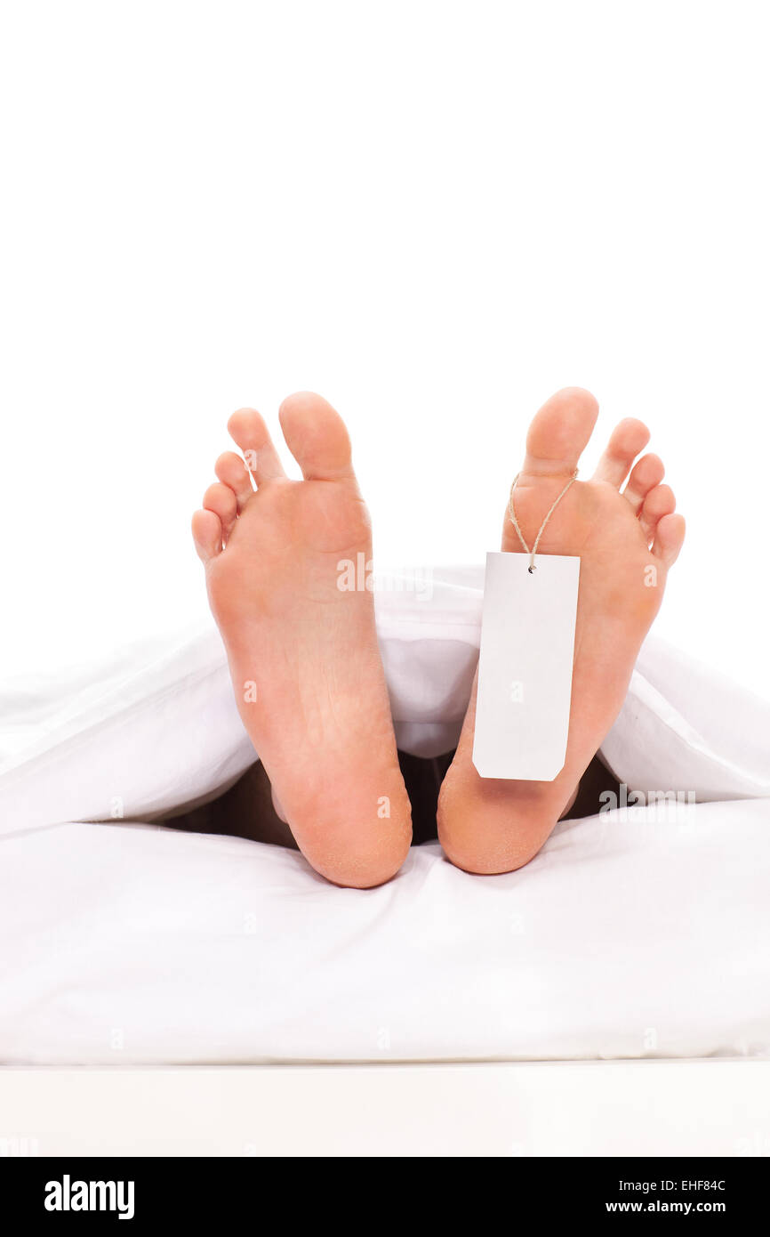 Studioaufnahme einer Leiche mit einem Zeh Tag isoliert auf weißem Hintergrund Stockfoto