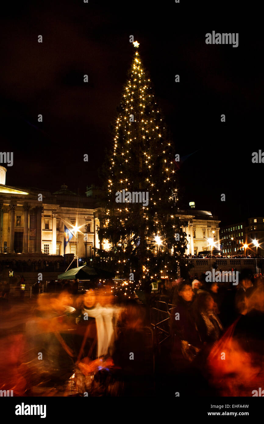 Der Weihnachtsbaum in Trafalgar Square in London. Stockfoto