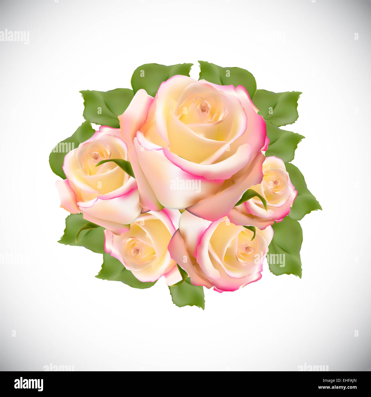 Realistische Rose High Qualität Vektor-Illustration Stockfoto