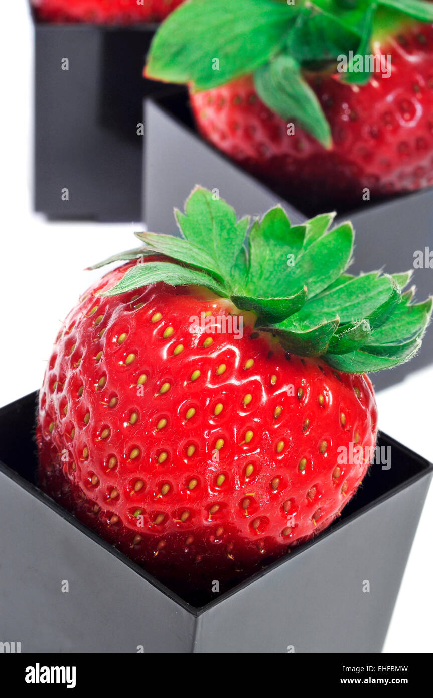 Erdbeeren in Würfelform Schalen auf einem weißen Hintergrund serviert Stockfoto