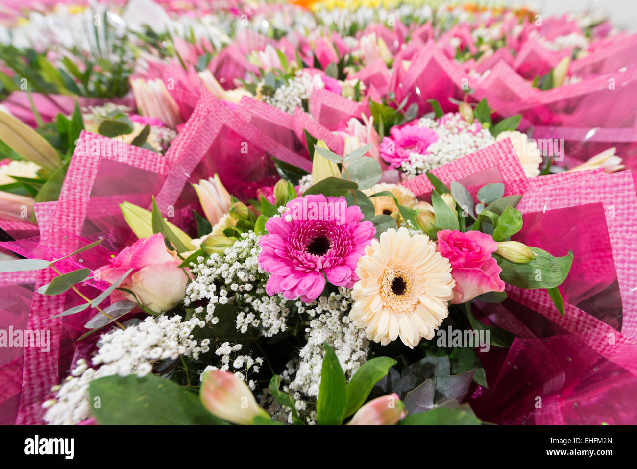 Bedfordshire Uk 13 Marz 2015 Eine Masse Von Bunten Blumen Sind